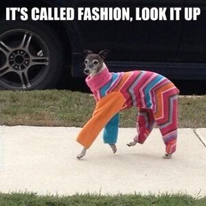 🌞🪶🌵 Yeehaw! You won a boho treasure